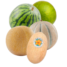 Galia, cantaloupe, limeloen, waikiki
of watermeloen